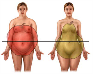 ganho de peso e menopausa